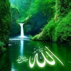 احمد ابو عمر