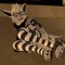 Phantomxz_