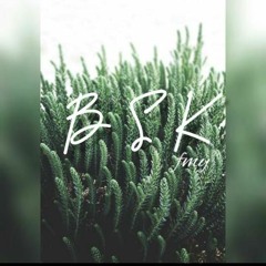 BSK FMY