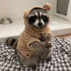 ben.