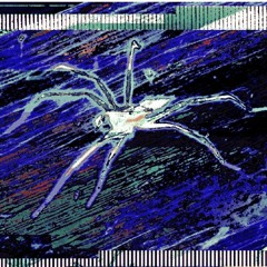 zalien