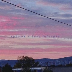 Spánok v lese letagie