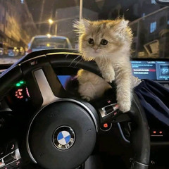 15066