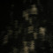 DK