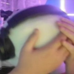 ytfoLLL