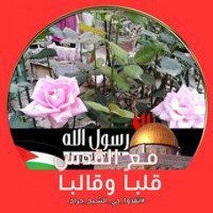 عبدالمنعم عبد الفتاح