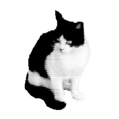 wawawa