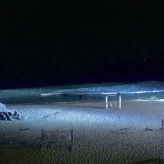 浪