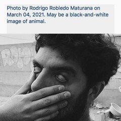 Rodrigo Robledo Maturana