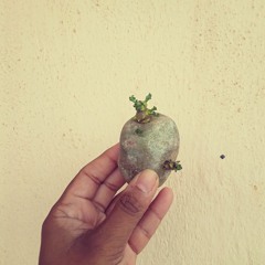 sparklivampyr3198374