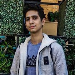 Mina M. Fahd