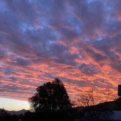 Aleja Salazar Monsalve