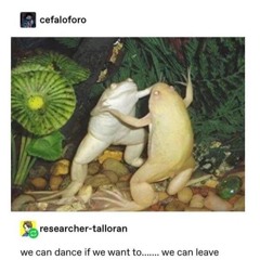 01028111