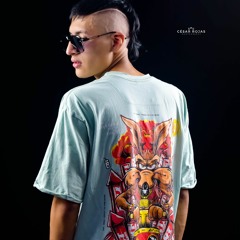 Brandon Cruz dj