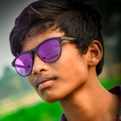 Model Sai
