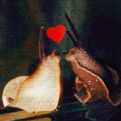 ЖУК