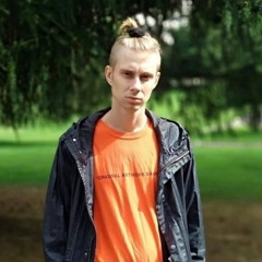 polzukinsanix aka lil nalog