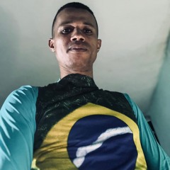MC WARLEY MINEIRO  🎶