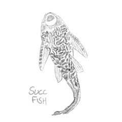 SuccFish