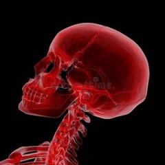 Docteur M