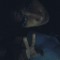 abdo