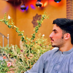 Zia.Akhtar