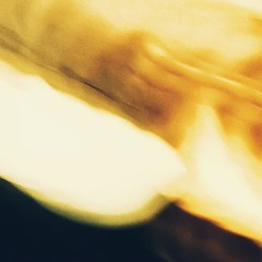 The New York Salsa Company