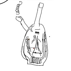 diddyfartbong67
