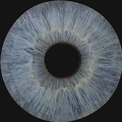 moteinmyeye