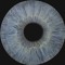 moteinmyeye