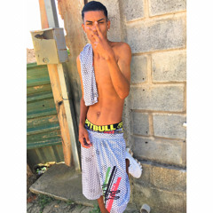 33_Fernandes