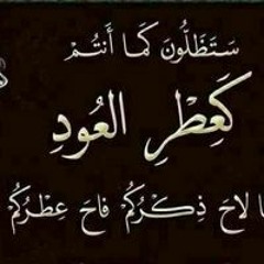سلطان دمشقي