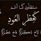 سلطان دمشقي