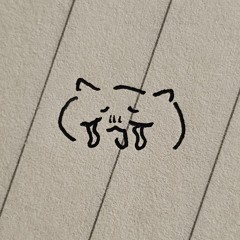 김보민