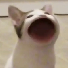 JH