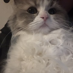 Badangel