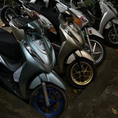 trường vinh