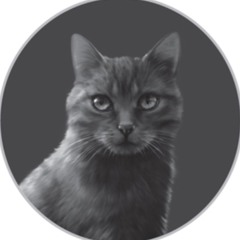 Imawarriorcatsfan
