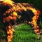 napalm