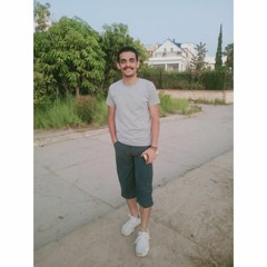 Ahmed Hamed