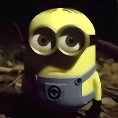dawiddawid