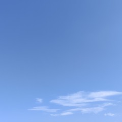VVFYR