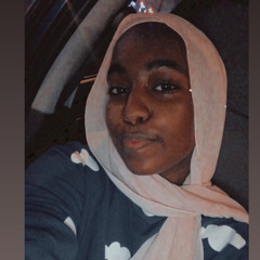 Habiba Hussein