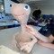 Callum Hutchings