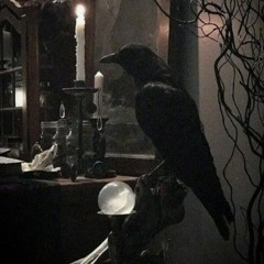 raven__wings