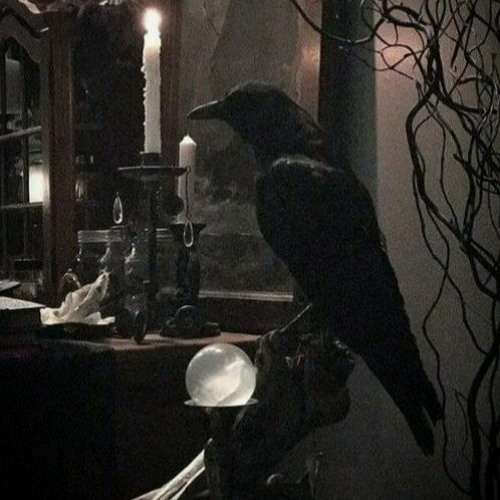 raven__wings’s avatar