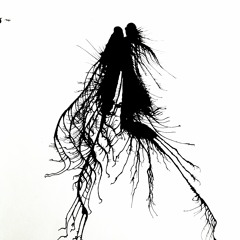 010101010101010101010101