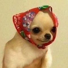 nhi._.