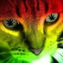 copiei o dj lorran na cara dura e olha no que deu!!!!!!!!!!!!!!!!!!!!!!!!!!!!!!!!