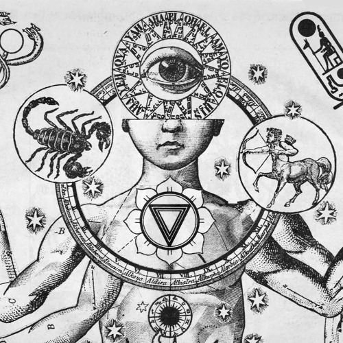 The Alchemical Theory’s avatar